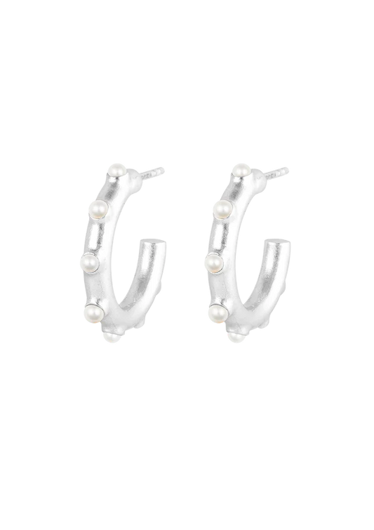 Trace of Venus Earrings - Silver House of Vincent