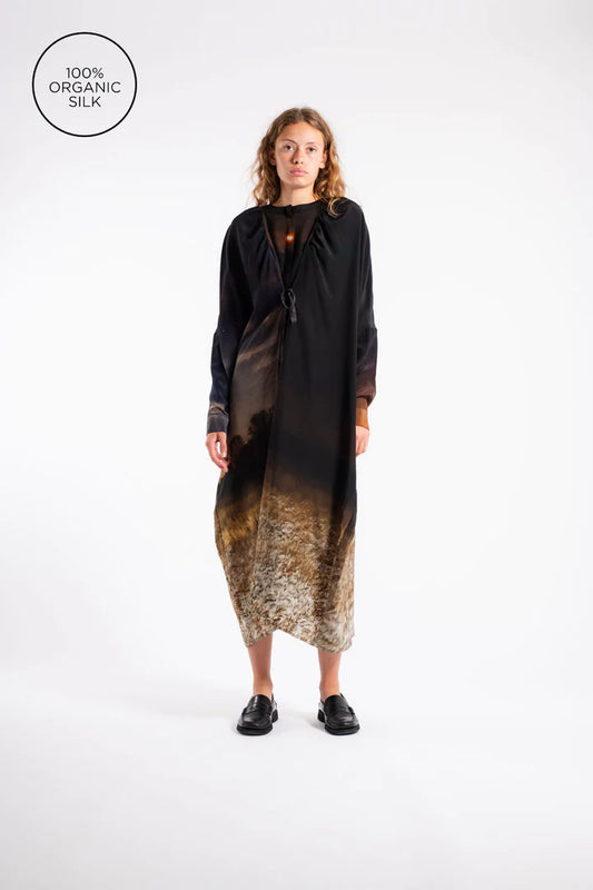 Big Dress - A Rough Nights by Anntian