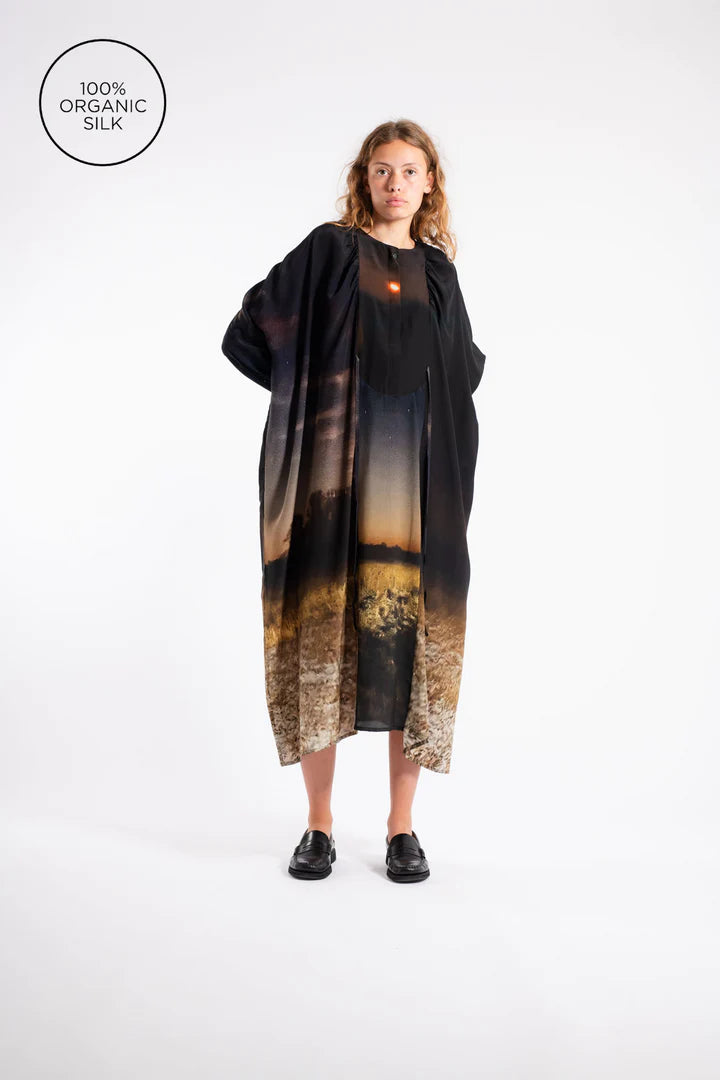 Big Dress - A Rough Nights by Anntian