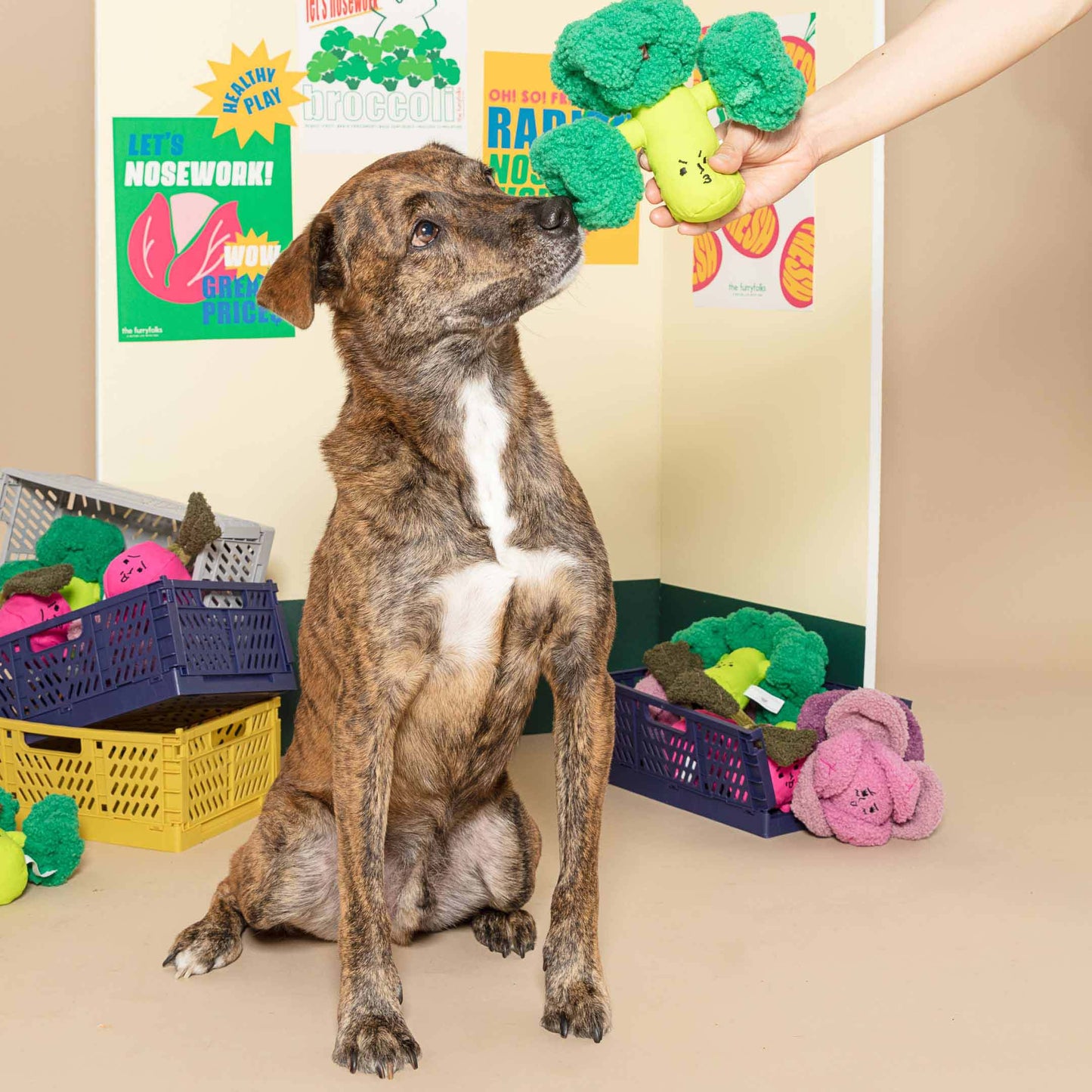 Broccoli Nose Work Toy by The Furry Folks