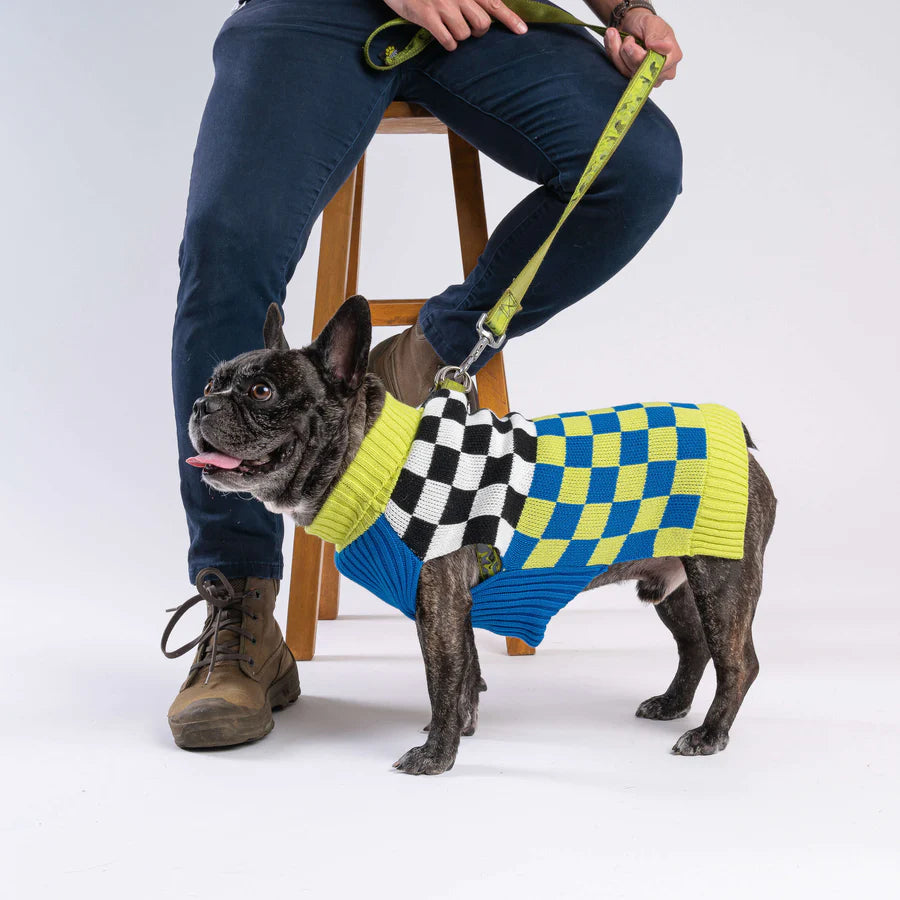 Checkerboard Dog Sweater - Lime Cobalt by Verloop