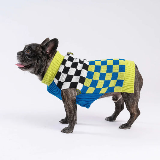 Checkerboard Dog Sweater - Lime Cobalt by Verloop