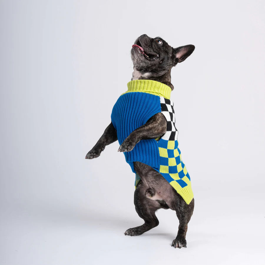 Checkerboard Dog Sweater - Lime Cobalt by Verloop