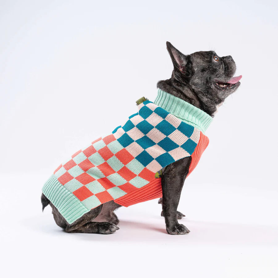 Checkerboard Dog Sweater - Melon Jade by Verloop