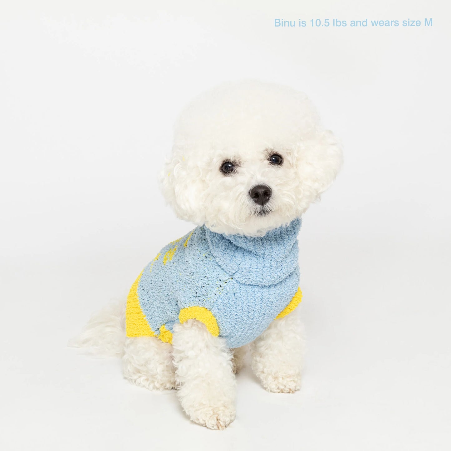 Dog Bless Sweater by The Furry Folks