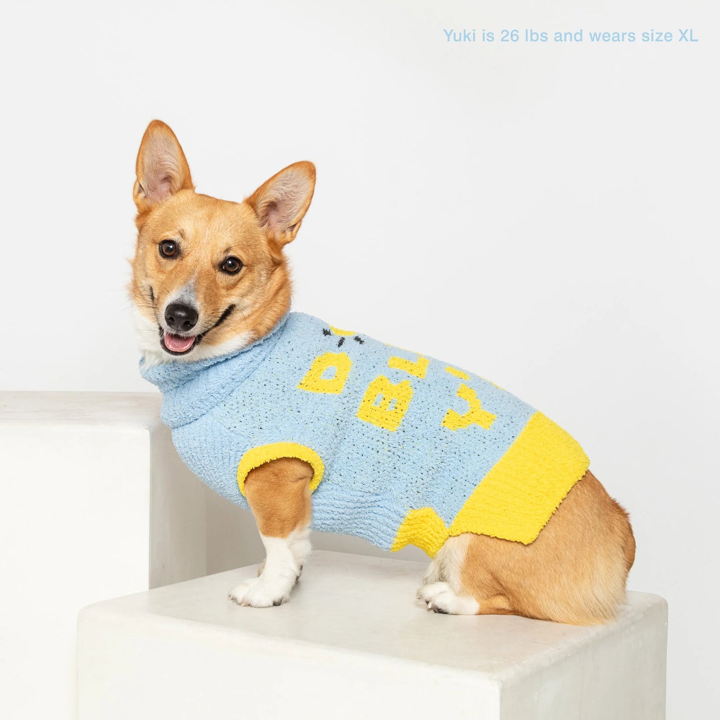 Dog Bless Sweater by The Furry Folks