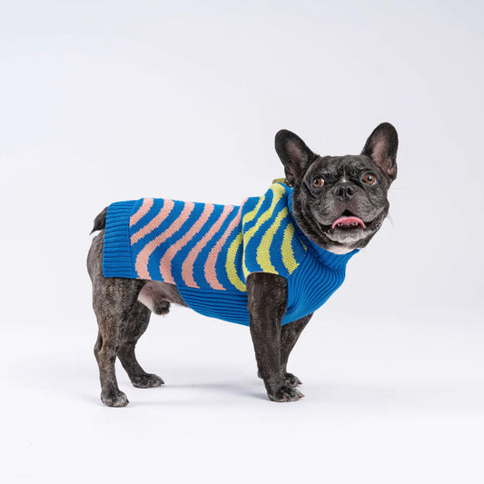 Sound Wave Dog Sweater - Coral Cobalt by Verloop