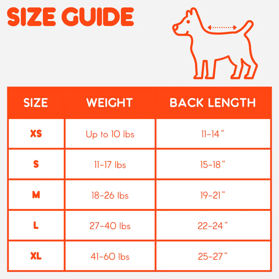 Checkerboard Dog Sweater - Lime Cobalt by Verloop