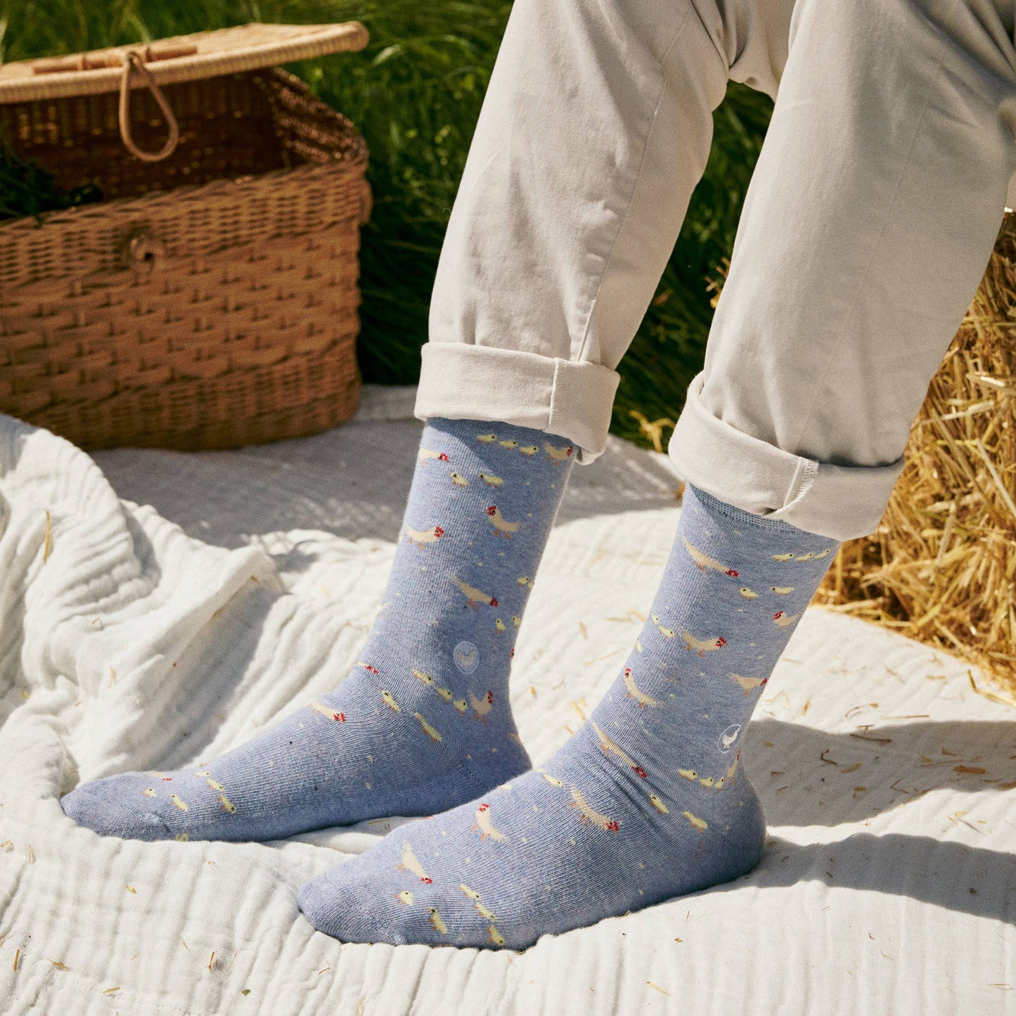 Boxed Set Socks that Save Farm Animals: Medium