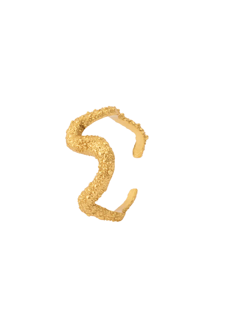 Ring of Astley - Gold by House of Vincent