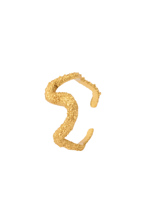 Ring of Astley - Gold by House of Vincent