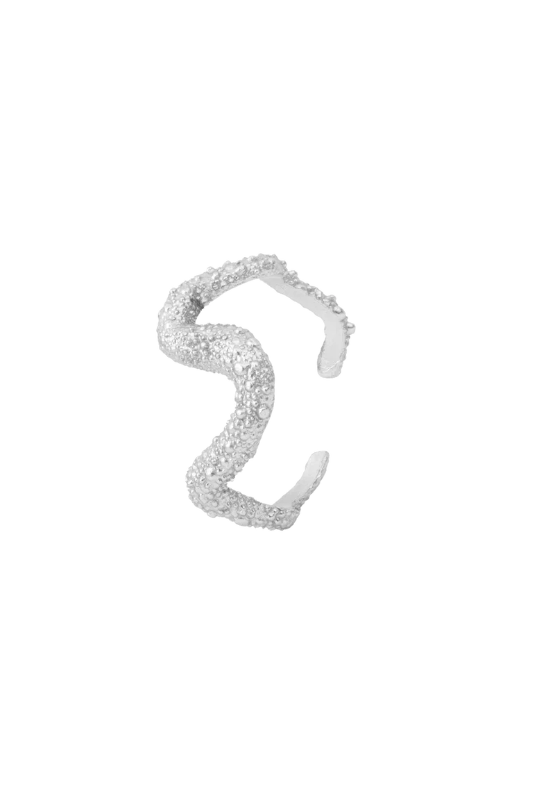 Ring of Astley - Silver by House of Vincent