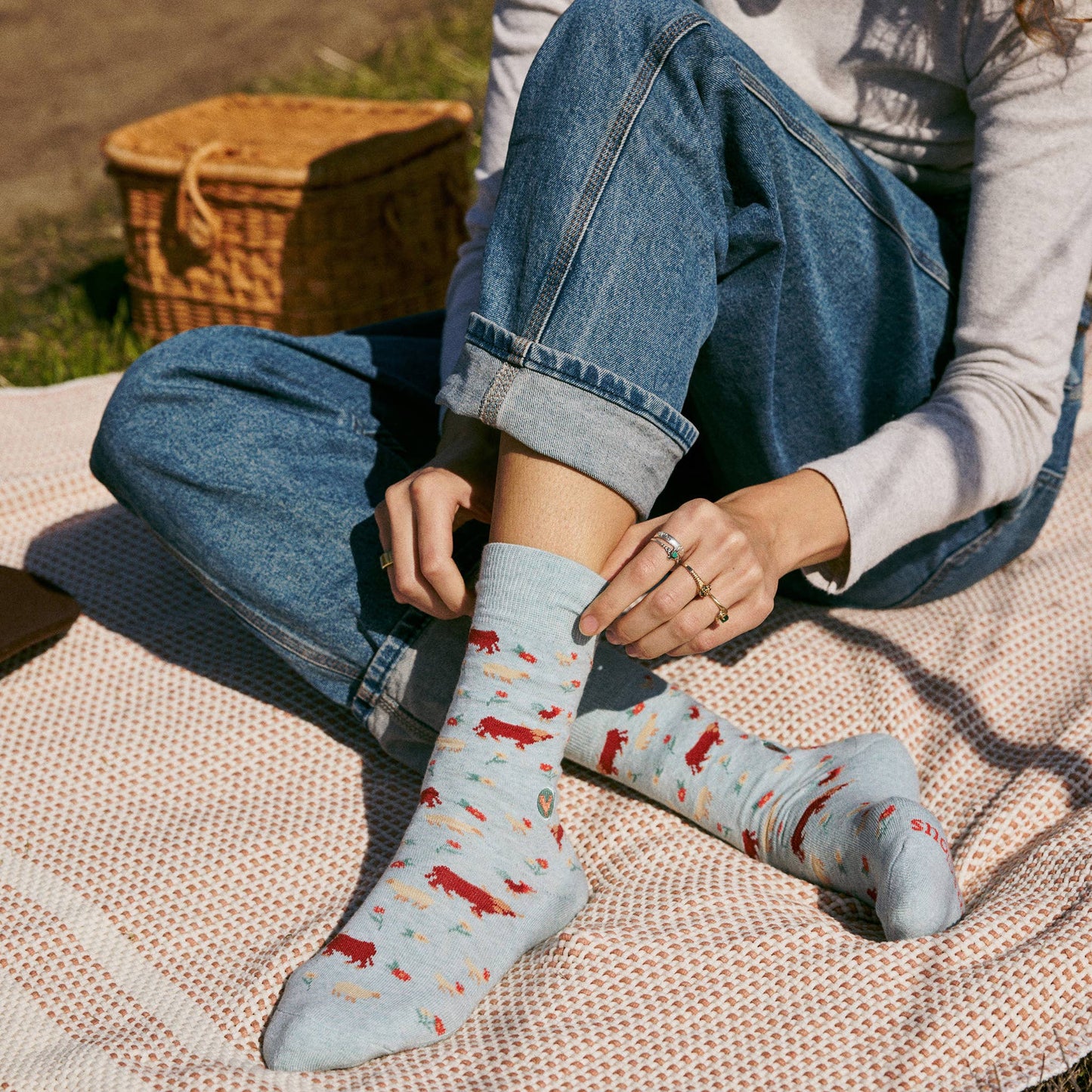 Boxed Set Socks that Save Farm Animals: Small