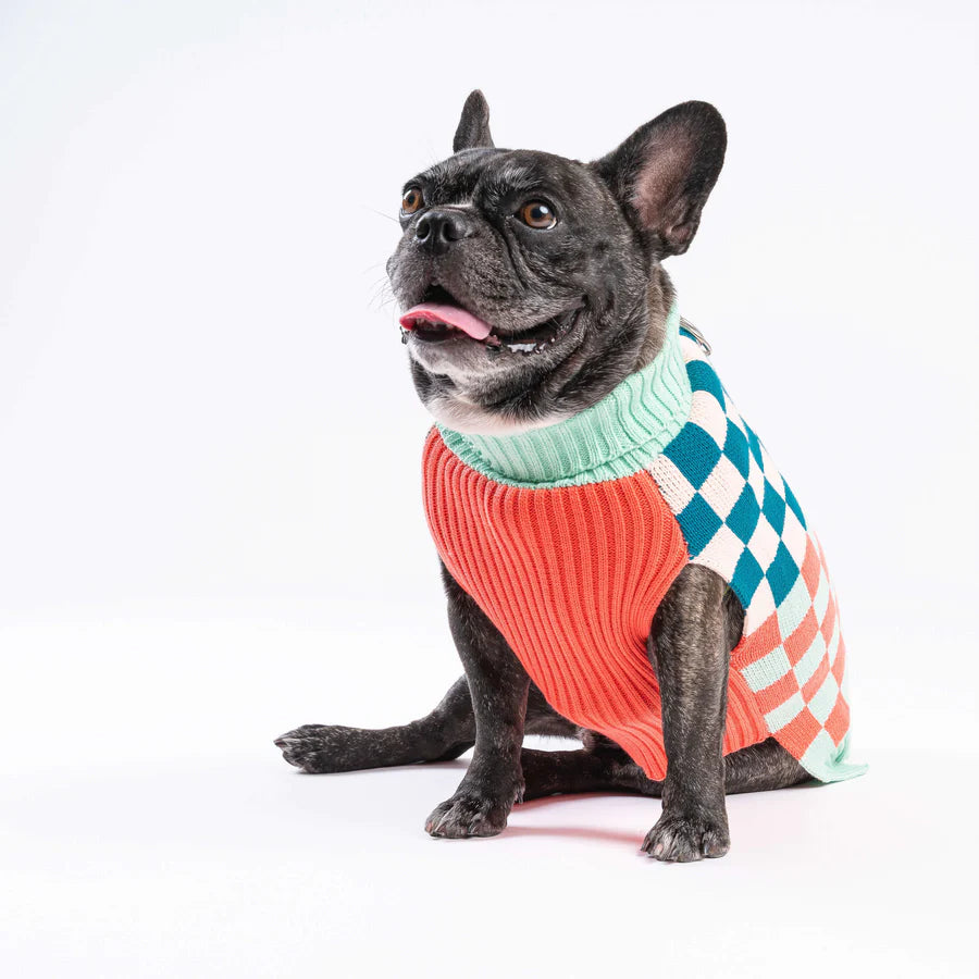 Checkerboard Dog Sweater - Melon Jade by Verloop
