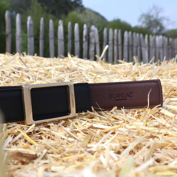 Vegan Black and Brown Reversible Belt by Blanlac